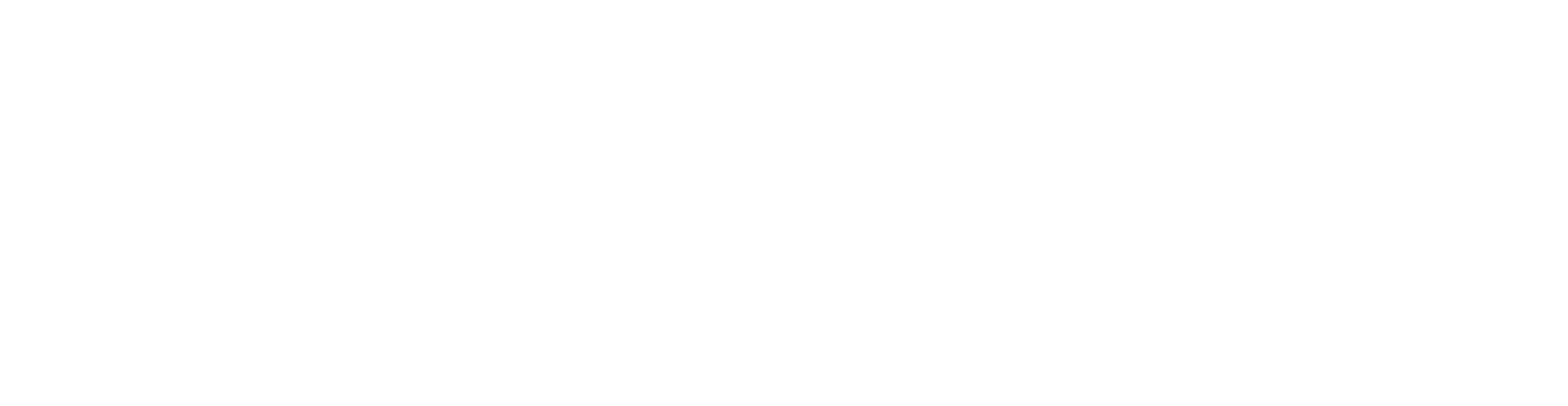 logo-white